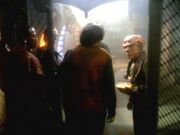 Quark workers