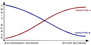 Trait-scale-linear