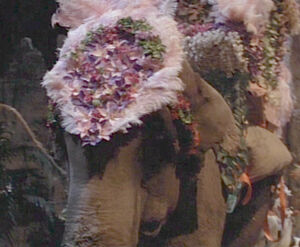 Lucytheelephant