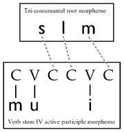 Nonconcatenative-muslim-derivation