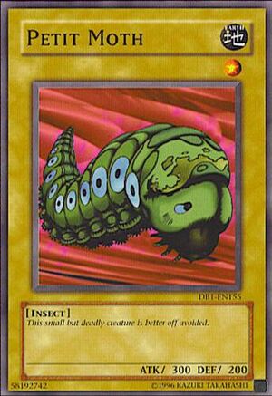 PetitMoth-DB1-EN-C-UE