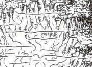 Equatorial swamp