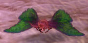 Redmothpet