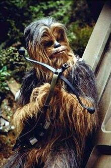 Chewie Endor