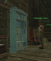 Windstalkerbookcase