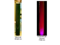 UV Light result 1