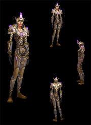 Paladin-tier-4