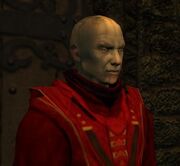 Araman redwizard