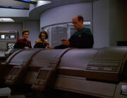 Bio-temporal chamber
