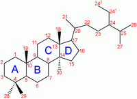 Steroid-nomenclature