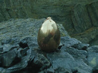 Goldenegg