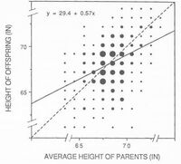 Galton-height-regress