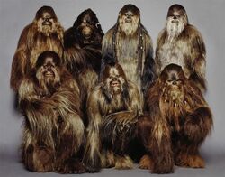 Wookiees