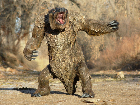 Mapinguari internet01