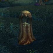 Hollowed Out Tree