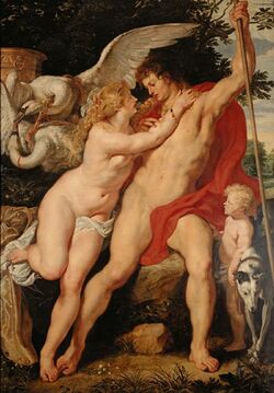 Adonisrubens1