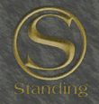 Standing-Vice-Point-Logo 2, VC