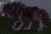 Worg