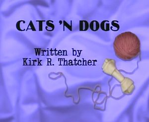 Cats'ndogs