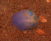 Highperch Wyvern Egg
