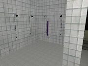 LSPD HQ Dildo.jpg