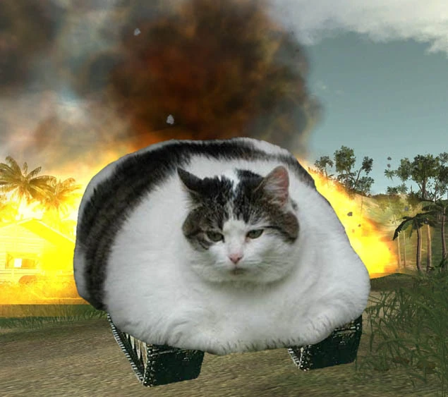 Treadcat.jpg