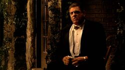 Luca brasi
