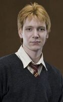 Fred Weasley Profile