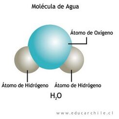 Molecula agua