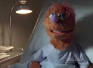 Scrubs-muppet