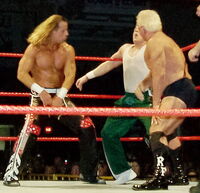 HBK-and-Flair-backhand-chops