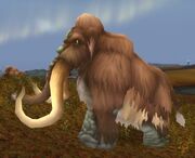 Wooly Mammoth Bull