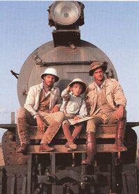Medlicot train