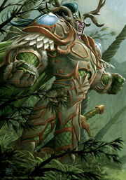 Night Elf Druid