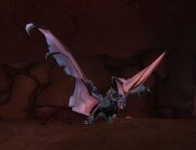 Greater Kraul Bat