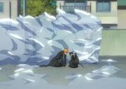 IchigoRukiavsGrimmjow2