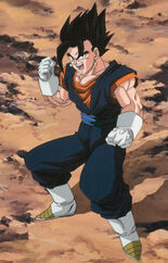 Vegetto photo