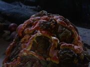 Horta