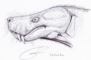 Lycosuchus1
