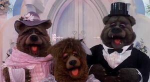 TMTMBearFamily