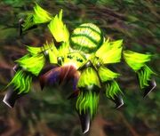 Webwood Spider