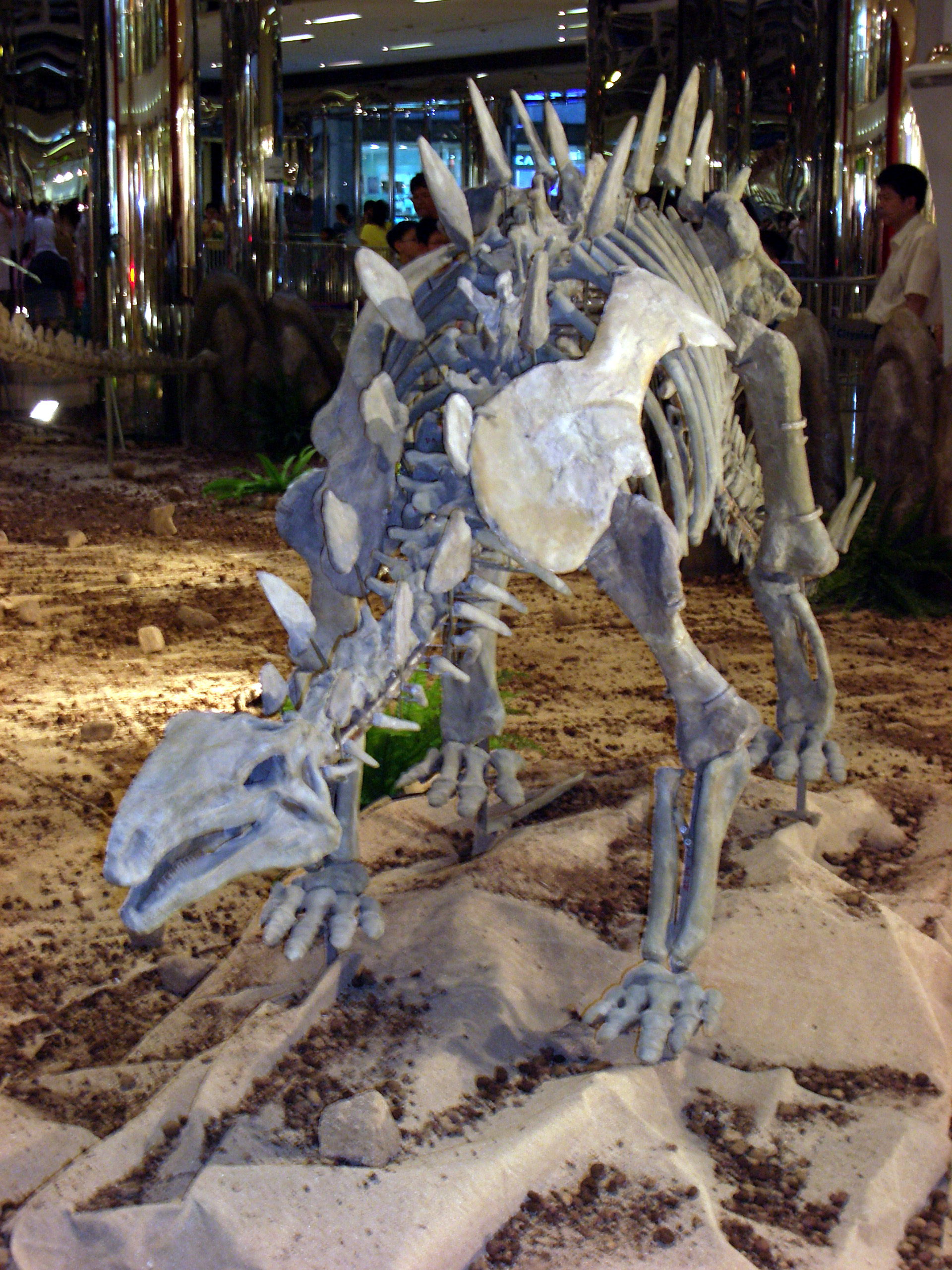 Huayangosaurus - Fossil Wiki, the paleontology wiki