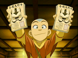 Aang's flyers