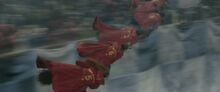 Gryffindor quidditch