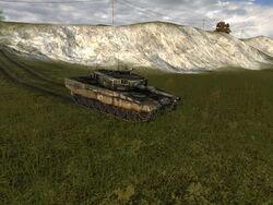Leopard ruins