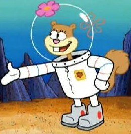 sandy cheeks body pillow