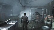 Curtis' Salvage Yard 011
