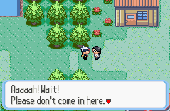 [Image: Ruby-Sapphire_Oldale_Town_2.png]