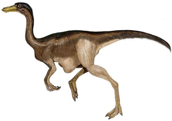 gallimimus velociraptor