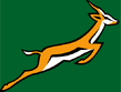 Transvaal Springboks